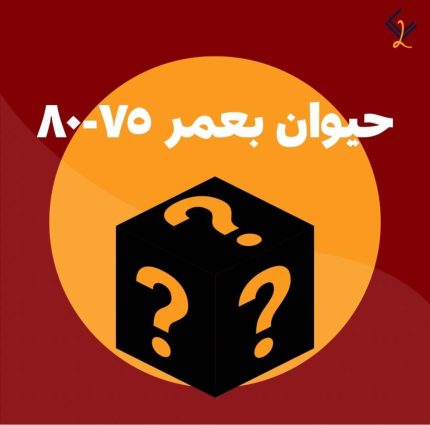 حيوان بعمر 75