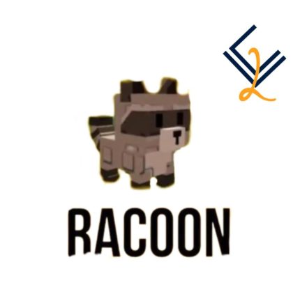 الراكون - Raccoon