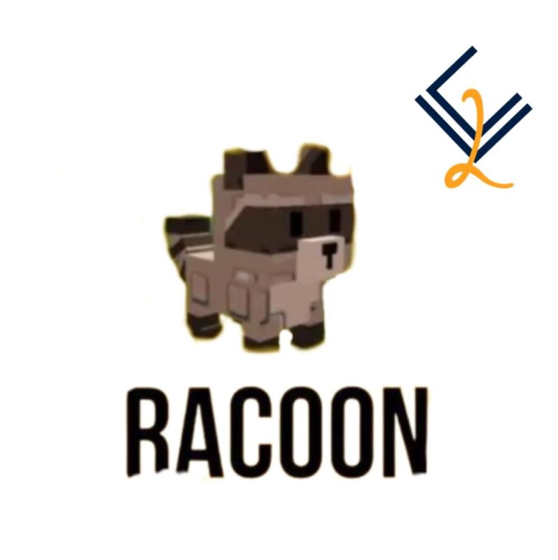 الراكون - Raccoon