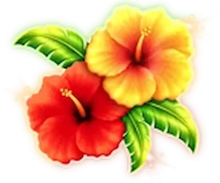 100 Flowers
