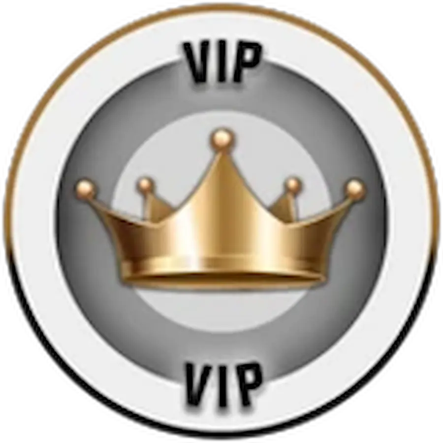 VIP_Pass (2) (2)